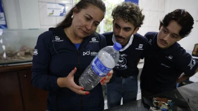 Foto: Estudo acha microplástico em 93% de amostra de peixes no litoral do PR