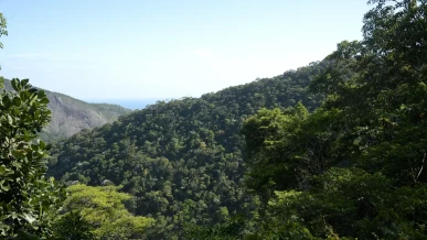 Foto: Plano mobiliza R$ 500 bi para financiamento sustentável no Brasil