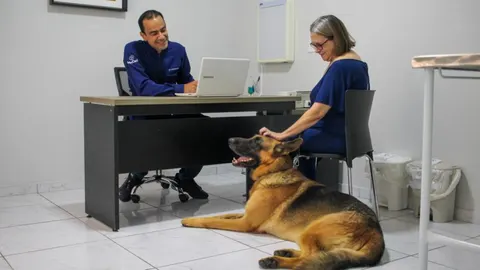 MedCani lança campanha de combate à doença do carrapato em cães e gatos de Taubaté