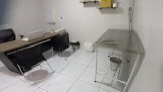 Veterinário para cães idosos em Taubaté: sinais, check-up e cuidados