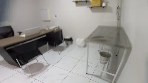 Veterinário para cães idosos em Taubaté: sinais, check-up e cuidados