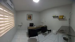 Vermifugação de cães e gatos em Taubaté: frequência, sinais e cuidados
