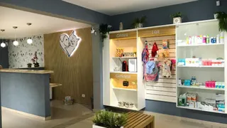 Farmácia veterinária em Taubaté: remédios do pet com segurança