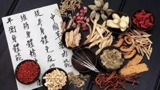 O terapeuta em Medicina Tradicional Chinesa