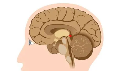 Benefícios da Suplementação de Melatonina: Uma Revisão Acadêmica.