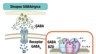 Os Benefícios do GABA