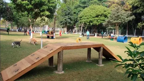 Melhores Lugares para Passear com o Seu Cão em Taubaté: Dicas de um Veterinário em Taubaté