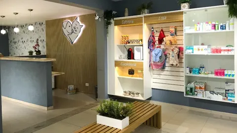 Clínica veterinária em Taubaté amplia acesso a serviços completos de saúde animal