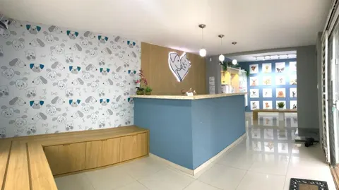 O veterinário que Taubaté estava esperando — e seu pet merece