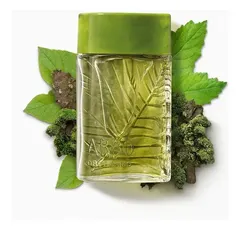 Arbo Forest Deo Colônia Masculino Boticário 100ml