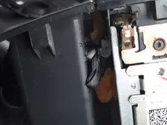 Tira Grilo de carros Curitiba