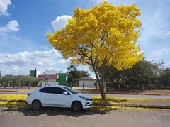 Transfer para todo Brasil