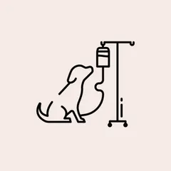 Quimioterapia em Cães e Gatos