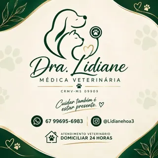 Acompanhamento de Pets Idosos e Crônicos