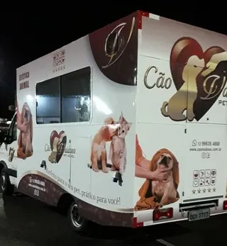 Cão Vaidoso Taxi Dog e Pet Móvel - Banho e Tosa, foto 3