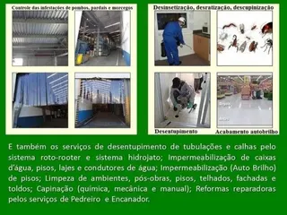 SanePrag - Dedetizadora, Desentupidora e Limpadora, foto 5