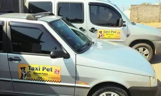 Táxi Pet 24 Horas, foto 4
