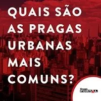 Portal Dedetizadora, foto 4
