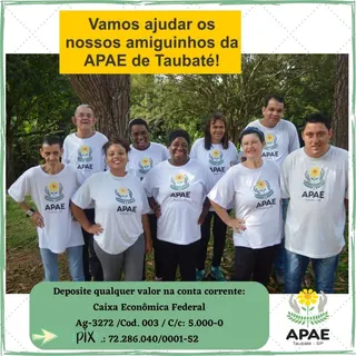 Associação de Pais e Amigos dos Excepcionais, foto 2