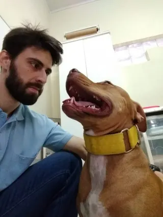 Dr. Thiago Luiz Santos Tross - Médico Veterinário, foto 4