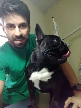 Dr. Thiago Luiz Santos Tross - Médico Veterinário, foto 5