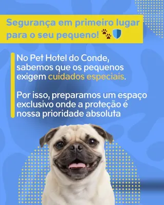 Pet Hotel do Conde, foto 6