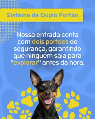 Pet Hotel do Conde, foto 7