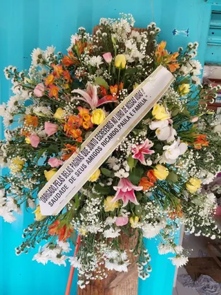 Flores Fujimoto Container, foto 2