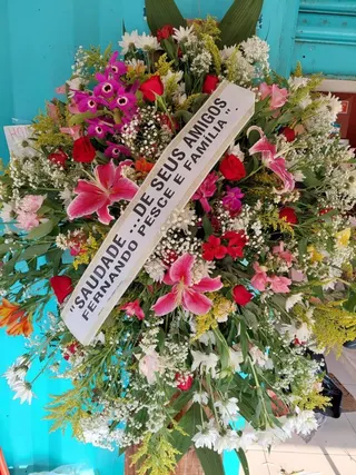 Flores Fujimoto Container, foto 1