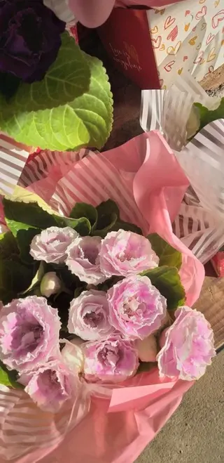 Flores Fujimoto Container, foto 6