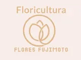 Flores Fujimoto Container