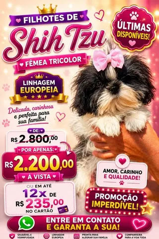 Canil Império dos BBS, foto 1