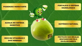 GL Coco Verde, foto 4
