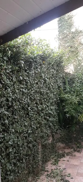 Brandão Gonçalves - Marido de Aluguel, foto 3