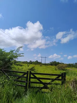Imóveis Nordeste Rurais, foto 5