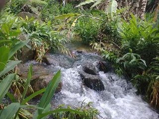 Imóveis Nordeste Rurais, foto 2