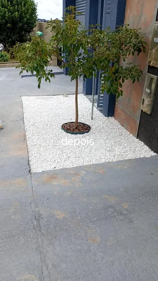 CH Jardinagem e Paisagismo, foto 4