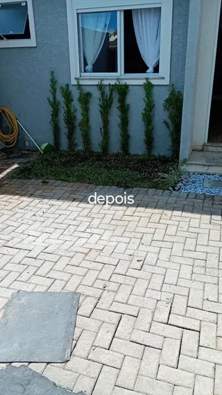 CH Jardinagem e Paisagismo, foto 5