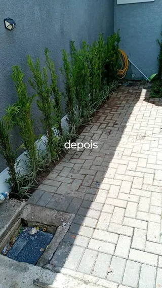 CH Jardinagem e Paisagismo, foto 7