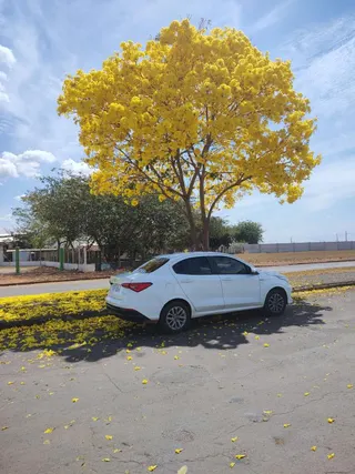 Uber e Motorista Executivo -  Valdeir Luiz, foto 7