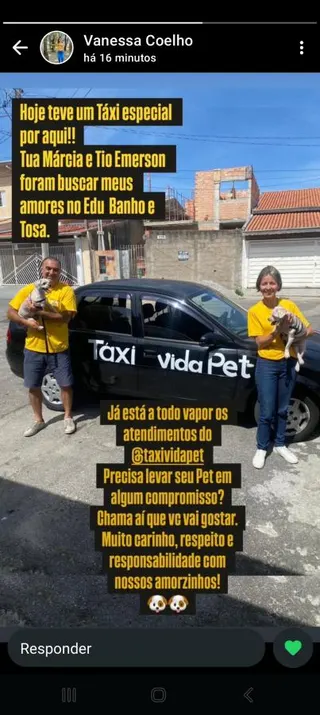 Táxi Vida Pet, foto 3