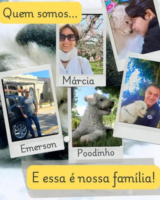 Táxi Vida Pet, foto 6