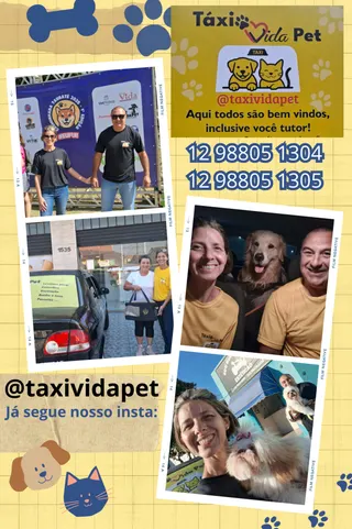 Táxi Vida Pet, foto 2