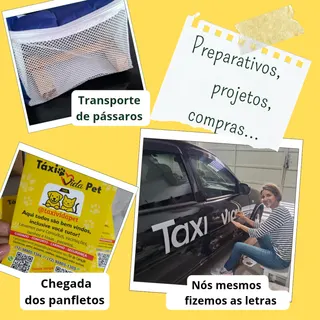Táxi Vida Pet, foto 5