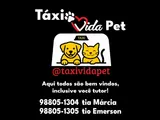 Táxi Vida Pet