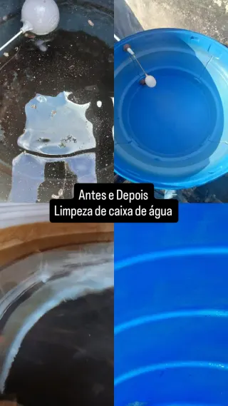 Kombat Controle de Pragas Dedetizadora, foto 4