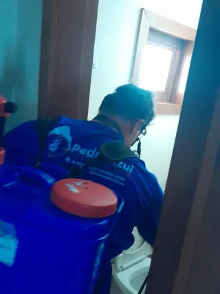 Pedra Azul Dedetização, foto 3