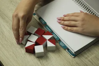 Avaliação Neuropsicólogica Raisa Schenkman, foto 6