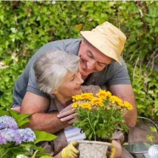 Scarpa Care Senior Agency, foto 2