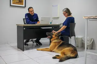 MedCani Clinica Veterinária, foto 4